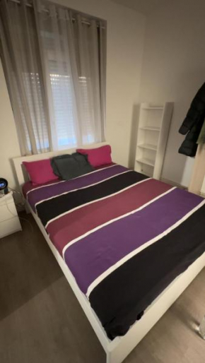 Apparemment T1 cosy